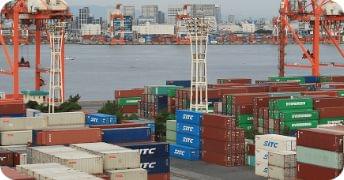 International Transportation