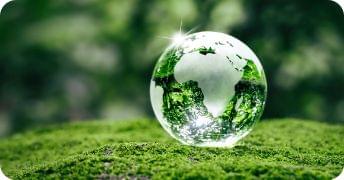 Sustainability Initiatives